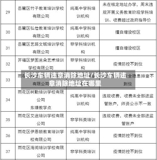长沙车辆违章消除地址/长沙车辆违章消除地址在哪里-第2张图片
