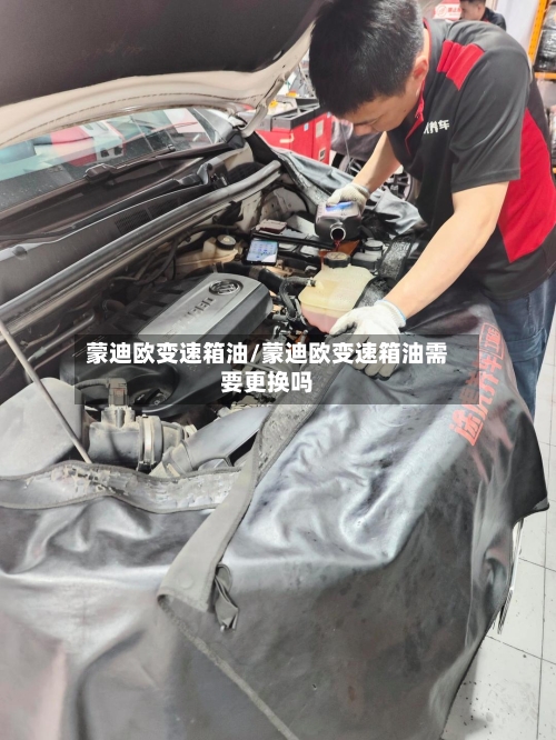 蒙迪欧变速箱油/蒙迪欧变速箱油需要更换吗-第2张图片