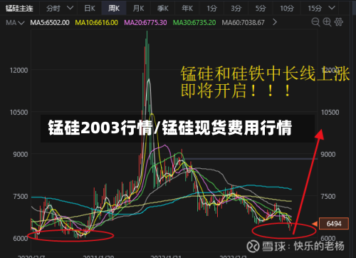 锰硅2003行情/锰硅现货费用行情