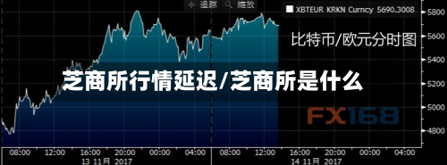 芝商所行情延迟/芝商所是什么-第3张图片