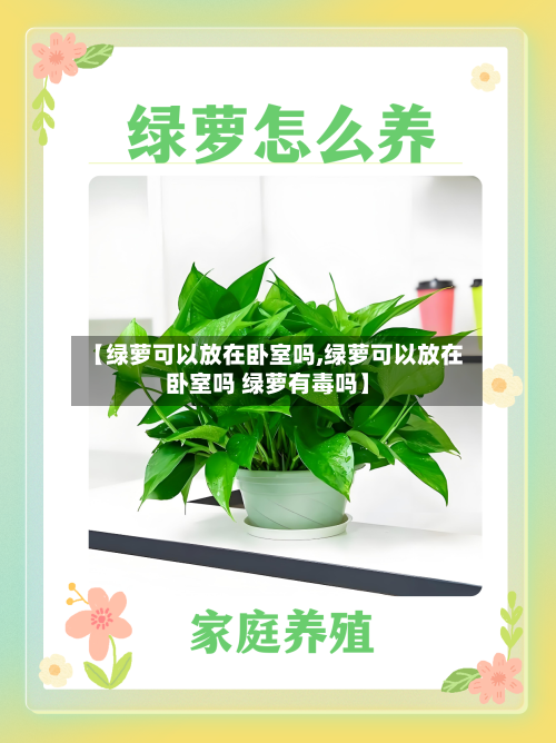 【绿萝可以放在卧室吗,绿萝可以放在卧室吗 绿萝有毒吗】
