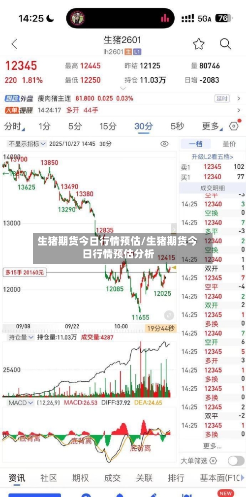 生猪期货今日行情预估/生猪期货今日行情预估分析