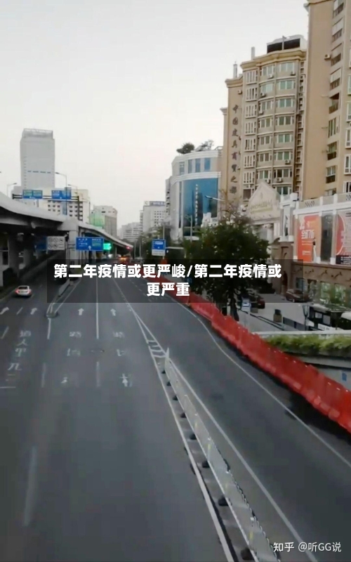 第二年疫情或更严峻/第二年疫情或更严重-第3张图片
