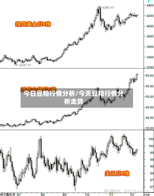 今日豆粕行情分析/今天豆粕行情分析走势
