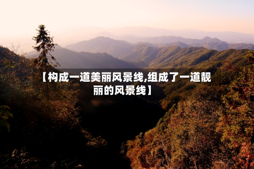【构成一道美丽风景线,组成了一道靓丽的风景线】-第2张图片