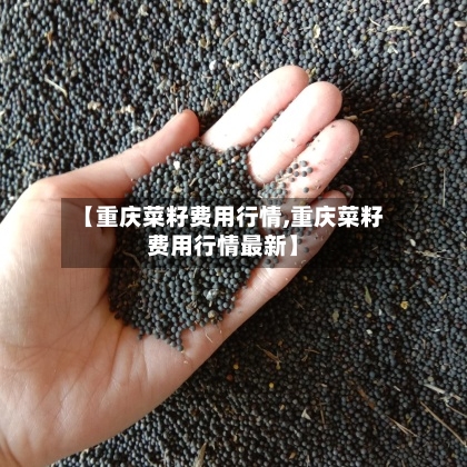 【重庆菜籽费用行情,重庆菜籽费用行情最新】