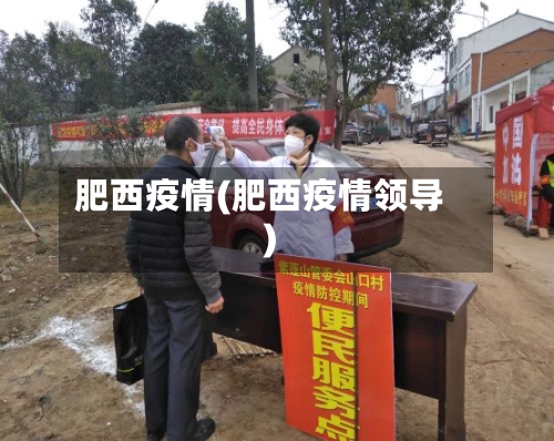 肥西疫情(肥西疫情领导)-第3张图片