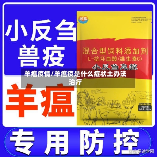 羊瘟疫情/羊瘟疫是什么症状土办法治疗