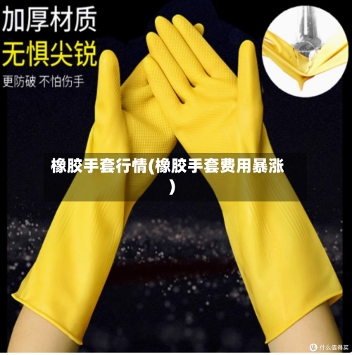 橡胶手套行情(橡胶手套费用暴涨)