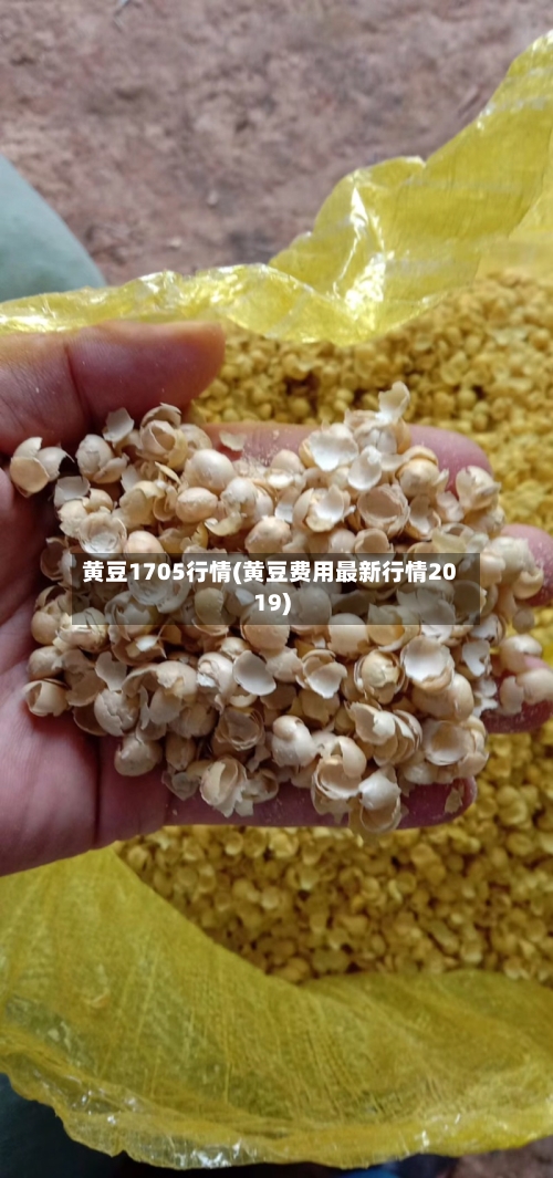 黄豆1705行情(黄豆费用最新行情2019)