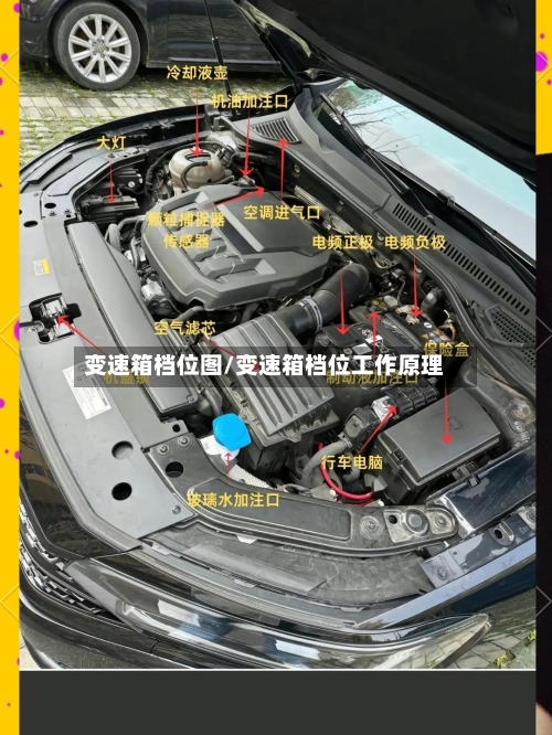 变速箱档位图/变速箱档位工作原理