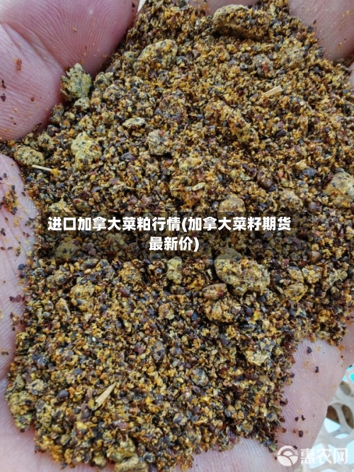 进口加拿大菜粕行情(加拿大菜籽期货最新价)