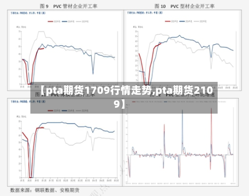 【pta期货1709行情走势,pta期货2109】-第2张图片
