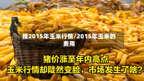 授2015年玉米行情/2015年玉米的费用-第3张图片