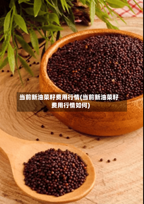 当前新油菜籽费用行情(当前新油菜籽费用行情如何)-第3张图片