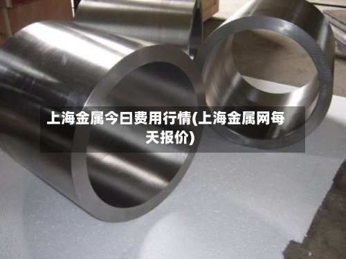 上海金属今曰费用行情(上海金属网每天报价)-第3张图片