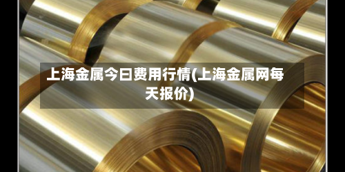 上海金属今曰费用行情(上海金属网每天报价)