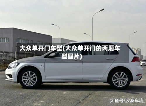 大众单开门车型(大众单开门的两厢车型图片)-第2张图片