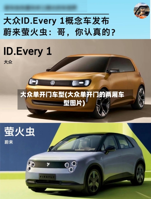 大众单开门车型(大众单开门的两厢车型图片)
