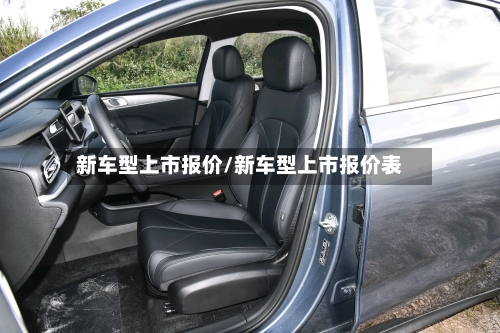 新车型上市报价/新车型上市报价表-第3张图片