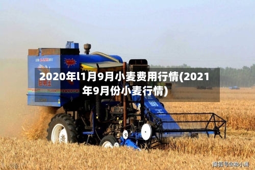 2020年l1月9月小麦费用行情(2021年9月份小麦行情)-第2张图片