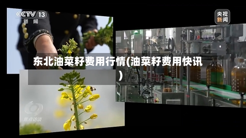 东北油菜籽费用行情(油菜籽费用快讯)-第2张图片