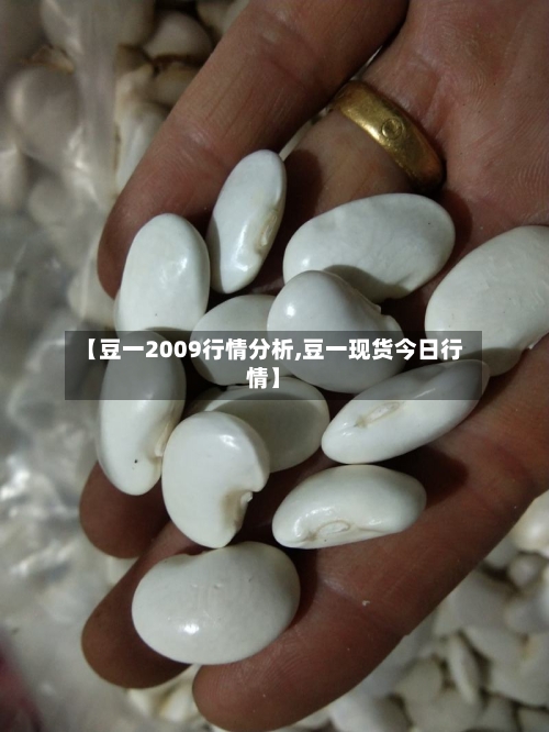 【豆一2009行情分析,豆一现货今日行情】