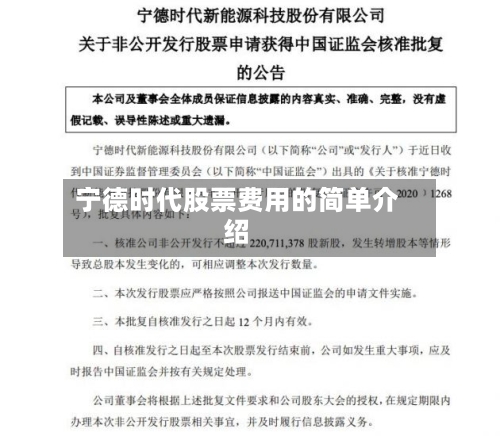 宁德时代股票费用的简单介绍-第2张图片