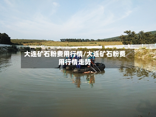 大连矿石粉费用行情/大连矿石粉费用行情走势