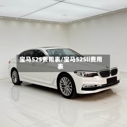 宝马525费用表/宝马525li费用表