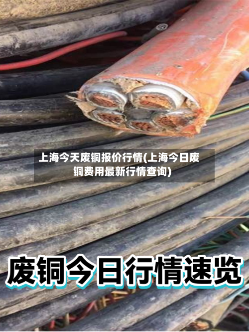 上海今天废铜报价行情(上海今日废铜费用最新行情查询)-第3张图片