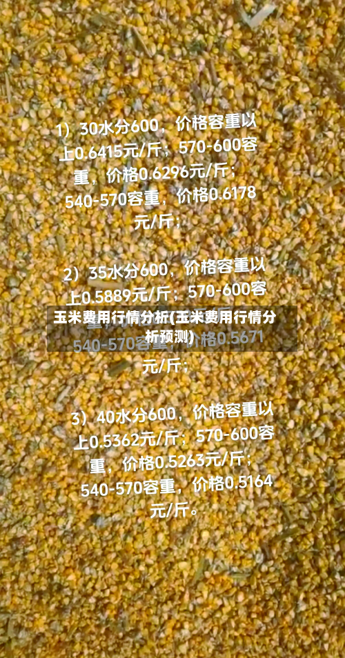 玉米费用行情分析(玉米费用行情分析预测)