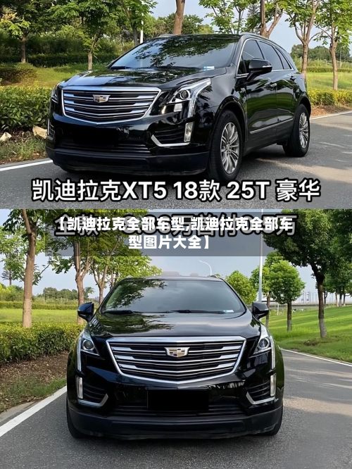 【凯迪拉克全部车型,凯迪拉克全部车型图片大全】
