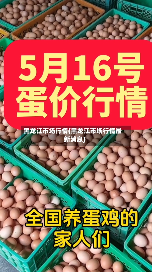 黑龙江市场行情(黑龙江市场行情最新消息)