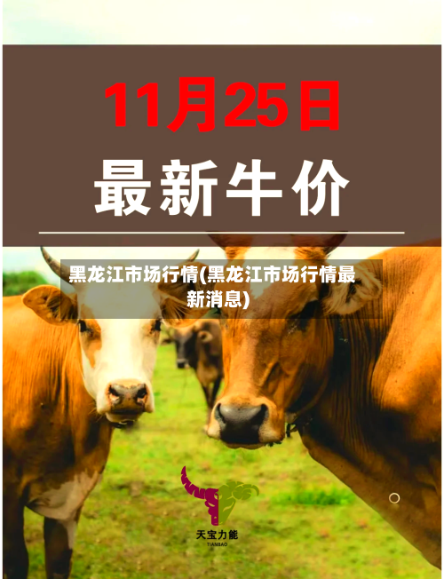 黑龙江市场行情(黑龙江市场行情最新消息)-第3张图片