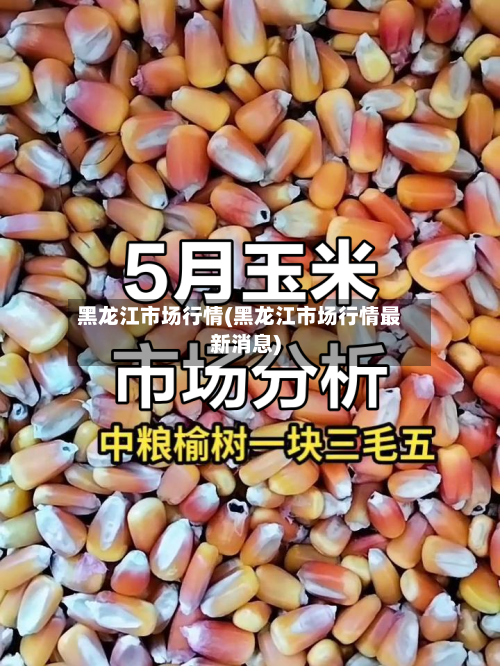 黑龙江市场行情(黑龙江市场行情最新消息)-第2张图片