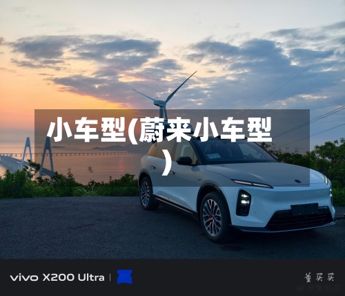 小车型(蔚来小车型)