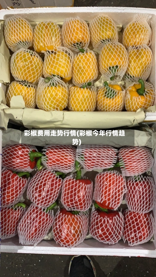 彩椒费用走势行情(彩椒今年行情趋势)
