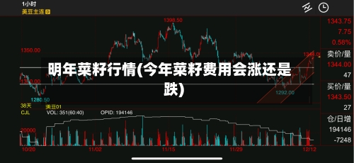 明年菜籽行情(今年菜籽费用会涨还是跌)