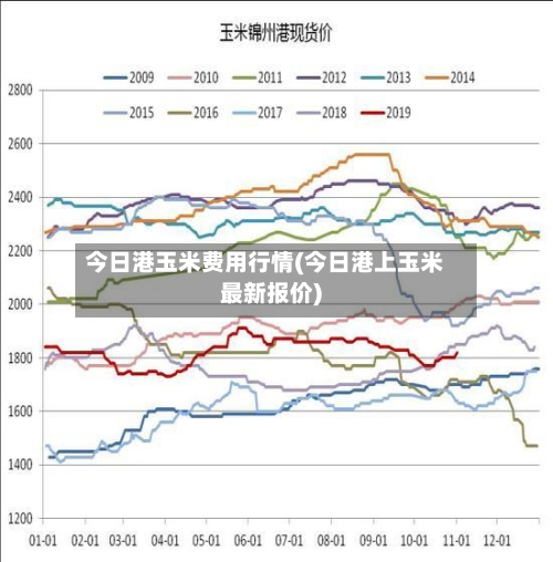 今日港玉米费用行情(今日港上玉米最新报价)