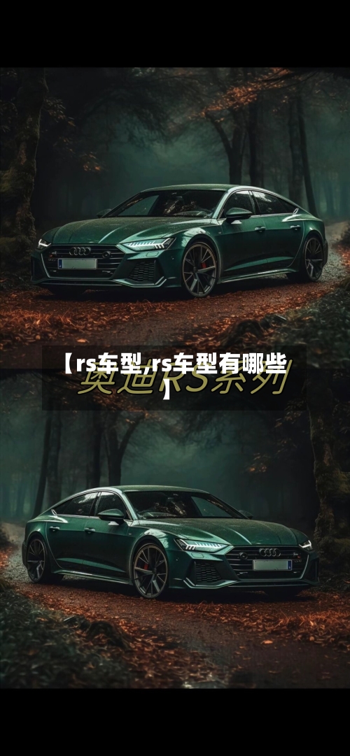 【rs车型,rs车型有哪些】-第2张图片