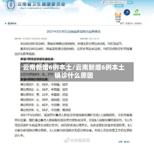 云南新增6例本土/云南新增6例本土确诊什么原因-第2张图片