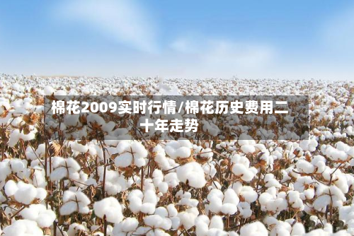棉花2009实时行情/棉花历史费用二十年走势-第2张图片