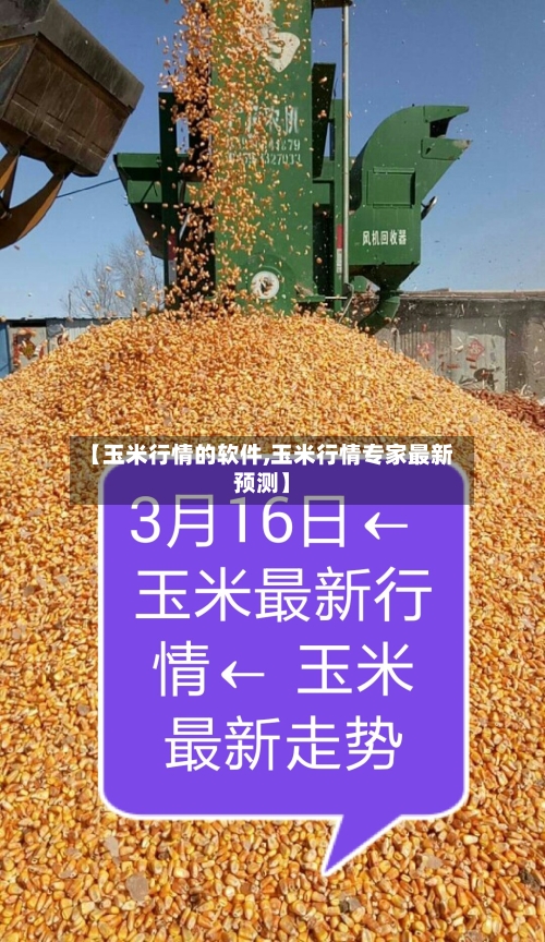 【玉米行情的软件,玉米行情专家最新预测】-第2张图片