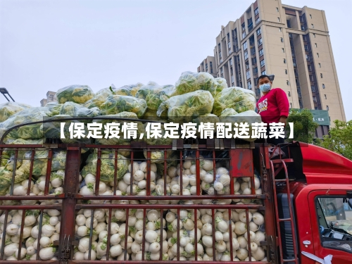 【保定疫情,保定疫情配送蔬菜】-第3张图片