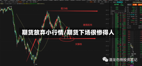 期货放弃小行情/期货下场很惨得人