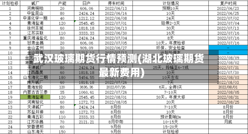 武汉玻璃期货行情预测(湖北玻璃期货最新费用)