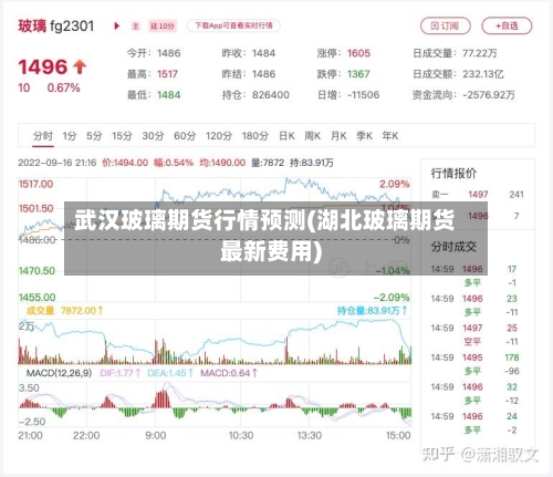 武汉玻璃期货行情预测(湖北玻璃期货最新费用)-第2张图片