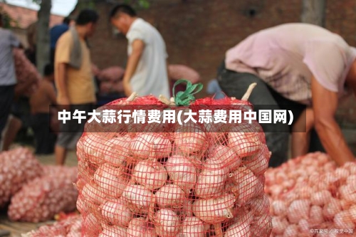 中午大蒜行情费用(大蒜费用中国网)-第3张图片