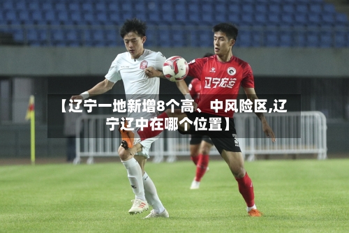 【辽宁一地新增8个高、中风险区,辽宁辽中在哪个位置】